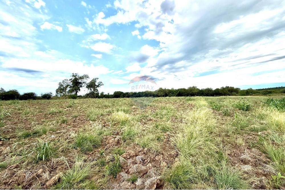 Chácara / Sítio / Fazenda - Venda - São Gabriel , Rio Grande do Sul - Imagem do WhatsApp de 2025-02-26 à(s) 22.07.14_35614f10.jpg - 612631046-2