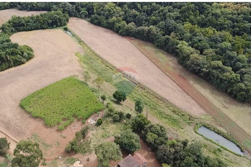 Chácara / Sítio / Fazenda - Venda - Trindade do Sul , Rio Grande do Sul - IMG-20250325-WA0059.jpg - 610231004-88