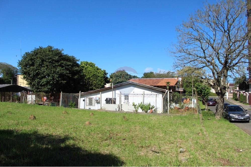 Terreno - Venda - Gravataí , Rio Grande do Sul - IMG_3922.JPG - 610161071-7