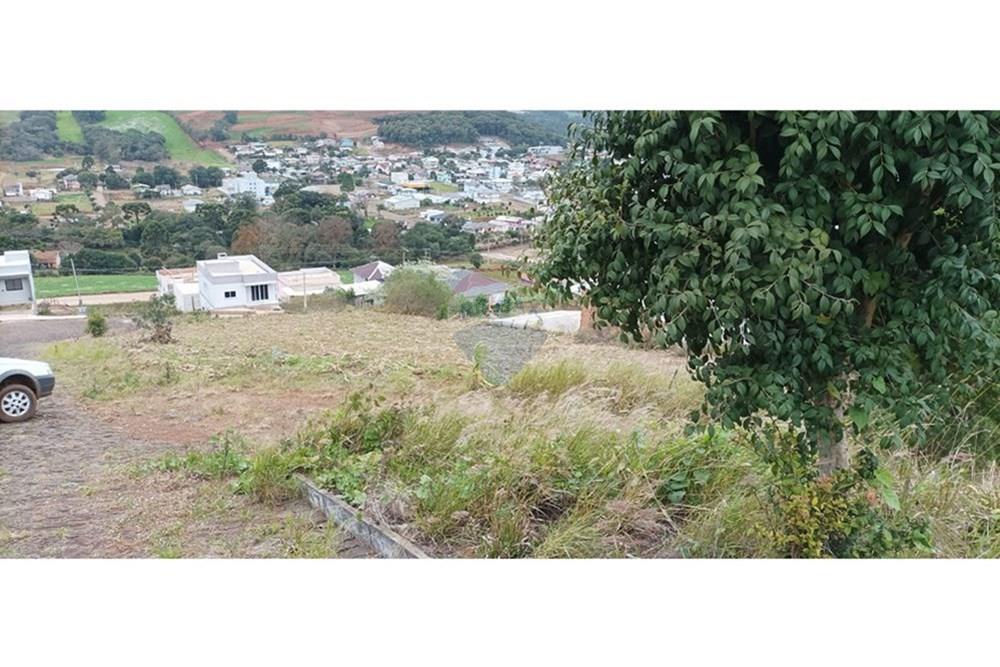 Terreno - Venda - Barão de Cotegipe , Rio Grande do Sul - FOTO REF. 04.jpg - 612761034-3