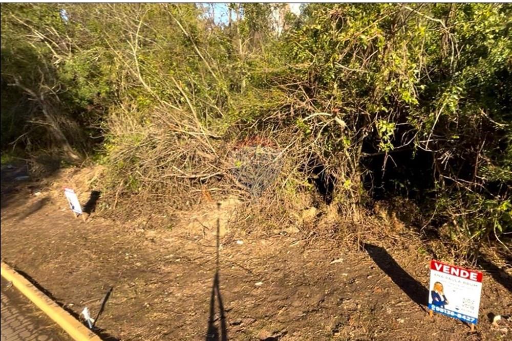 Terreno - Venda - Guaíba , Rio Grande do Sul - Imagem do WhatsApp de 2025-07-25 à(s) 20.00.00_3f6cb1cb.jpg - 612781019-5