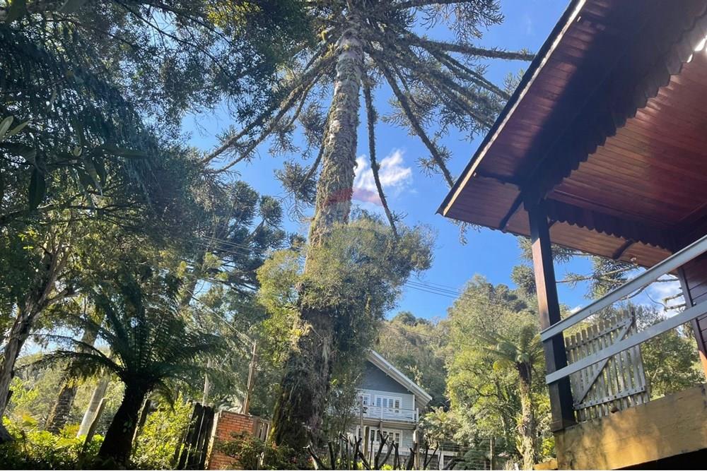 Casa - Venda - São Francisco de Paula , Rio Grande do Sul - 55861af0-1b6a-4f8d-8ad1-d8fb692e1b9f 3.JPG - 610131051-1