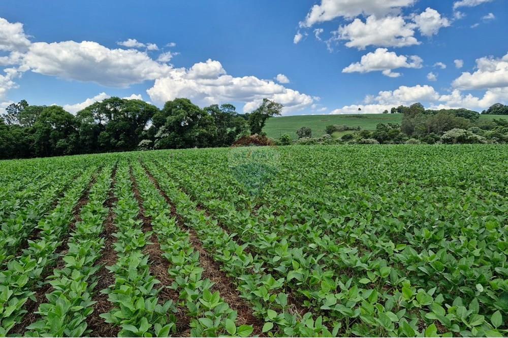 Chácara / Sítio / Fazenda - Venda - Nonoai , Rio Grande do Sul - IMG-20250107-WA0081.jpg - 610231004-83