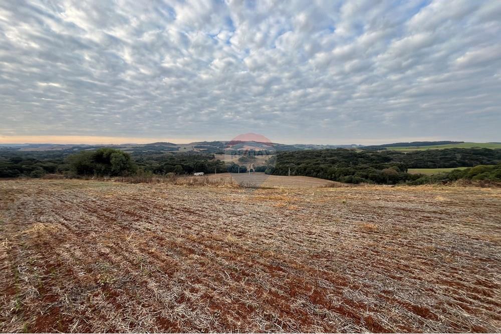 Fazenda - Venda - Lagoa Vermelha , Rio Grande do Sul - IMG_2573.JPG - 610111017-1
