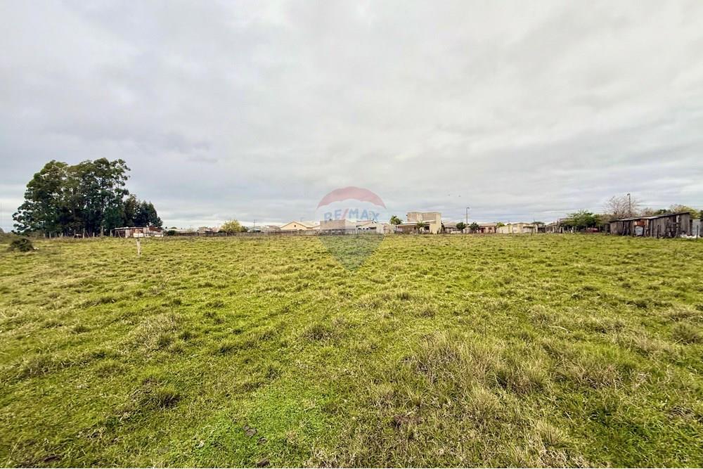 Chácara / Sítio / Fazenda - Venda - São Gabriel , Rio Grande do Sul - WhatsApp Image 2025-07-08 at 09.39.03 (1).jpeg - 612631045-18