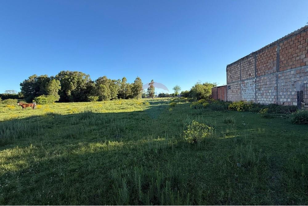 Terreno - Venda - São Gabriel , Rio Grande do Sul - Imagem do WhatsApp de 2025-10-16 à(s) 14.42.35_b28fee6c.jpg - 612631024-78
