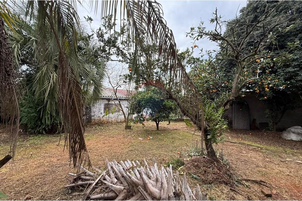 Casa - Venda - Sarandi , Rio Grande do Sul - WhatsApp Image 2025-07-23 at 15.20.19.jpeg - 610341021-43