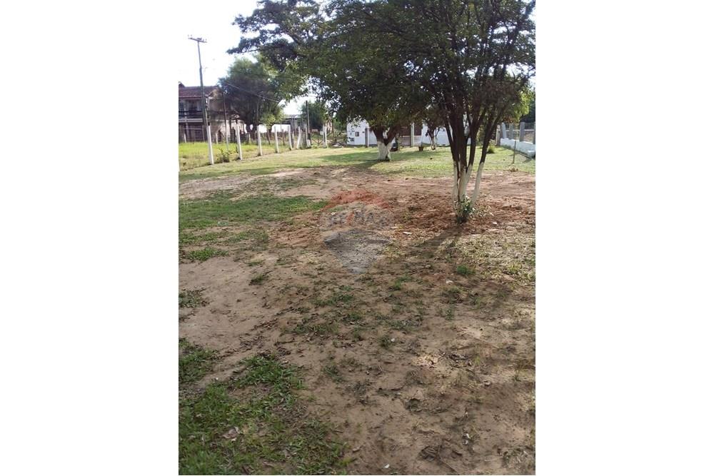 Casa Comercial - Alugar - Eldorado do Sul , Rio Grande do Sul - WhatsApp Image 2025-02-14 at 16.22.42 (2).jpeg - 612551005-100