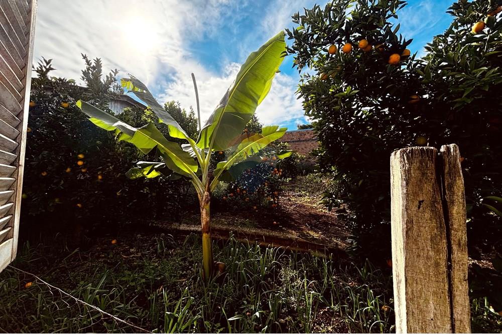 Casa - Venda - Carazinho , Rio Grande do Sul - WhatsApp Image 2025-05-27 at 12.13.39 (4).jpeg - 612701049-1