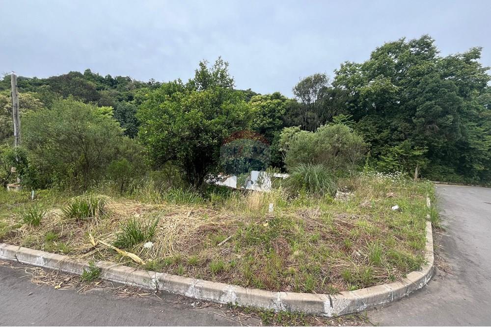 Terreno - Venda - Bento Gonçalves , Rio Grande do Sul - WhatsApp Image 2024-12-11 at 14.23.15.jpeg - 610331038-19