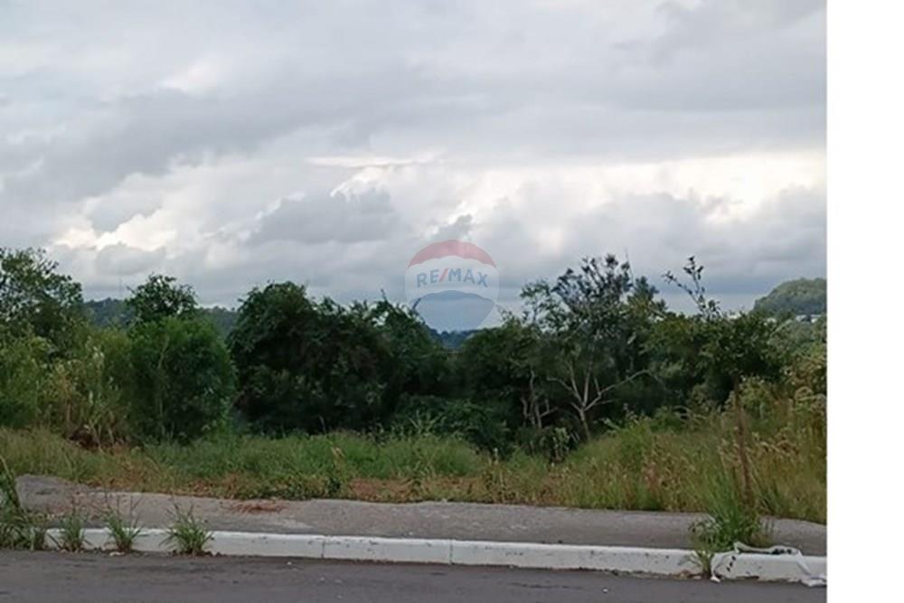 Terreno - Venda - Bento Gonçalves , Rio Grande do Sul - WhatsApp Image 2025-03-14 at 14.17.43.jpeg - 610331002-271