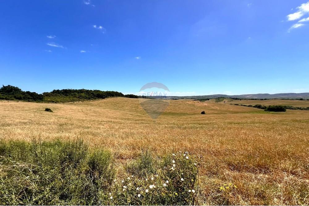 Chácara - Venda - Lavras do Sul , Rio Grande do Sul - WhatsApp Image 2025-01-13 at 23.01.37.jpeg - 612631031-7