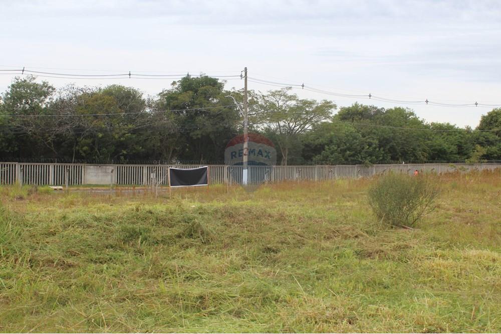 Terreno - Venda - Gravataí , Rio Grande do Sul - IMG_3915.JPG - 610161057-54