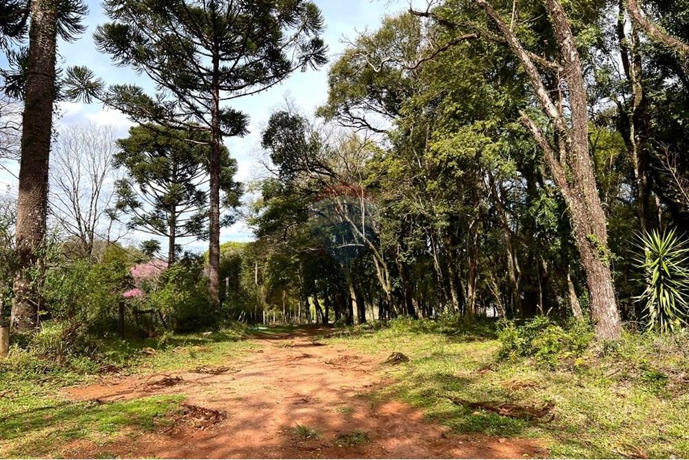 Chácara / Sítio / Fazenda - Venda - Passo Fundo , Rio Grande do Sul - 2.jpeg - Pátio interno - 610271019-88