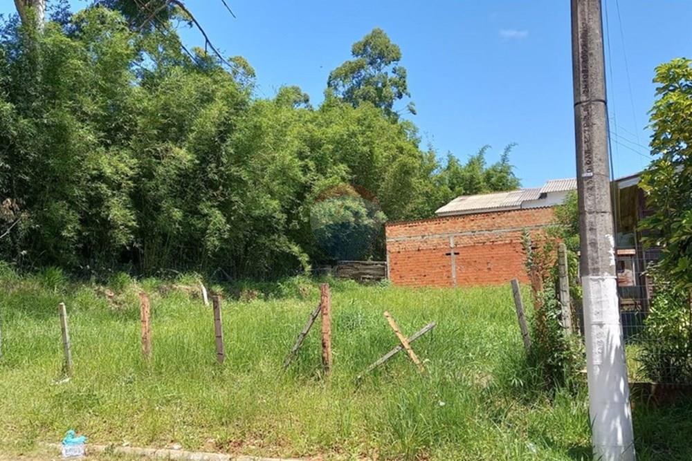 Terreno - Venda - Gravataí , Rio Grande do Sul - WhatsApp Image 2025-01-09 at 16.03.23 (3).jpeg - 610141011-49