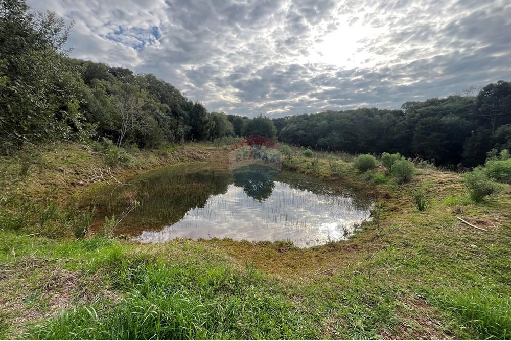 Fazenda - Venda - Lagoa Vermelha , Rio Grande do Sul - IMG_2530.JPG - 610111017-1