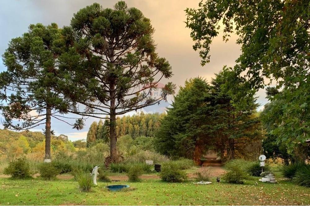 Chácara / Sítio / Fazenda - Venda - Sarandi , Rio Grande do Sul - WhatsApp Image 2025-07-03 at 11.19.35 (1).jpeg - 610341006-382