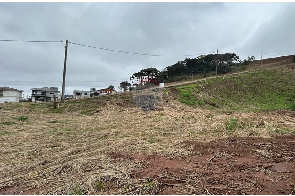 Terreno - Venda - Barão de Cotegipe , Rio Grande do Sul - WhatsApp Image 2025-08-09 at 14.36.35 (2).jpeg - Fachada - 612761035-7