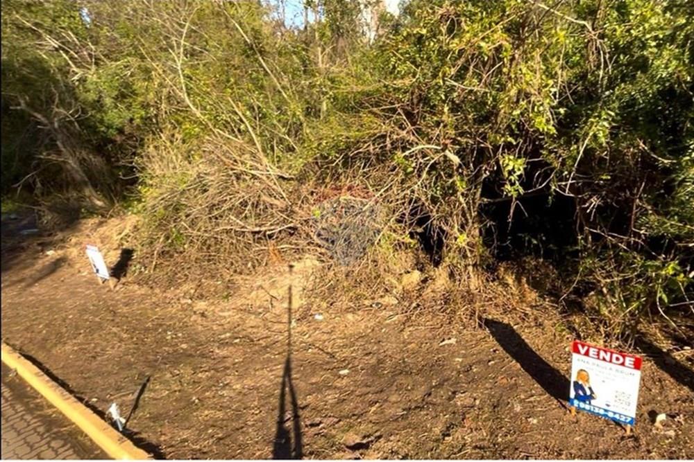 Terreno - Venda - Guaíba , Rio Grande do Sul - Imagem do WhatsApp de 2025-08-28 à(s) 16.10.24_4688e3e3.jpg - 612781019-11