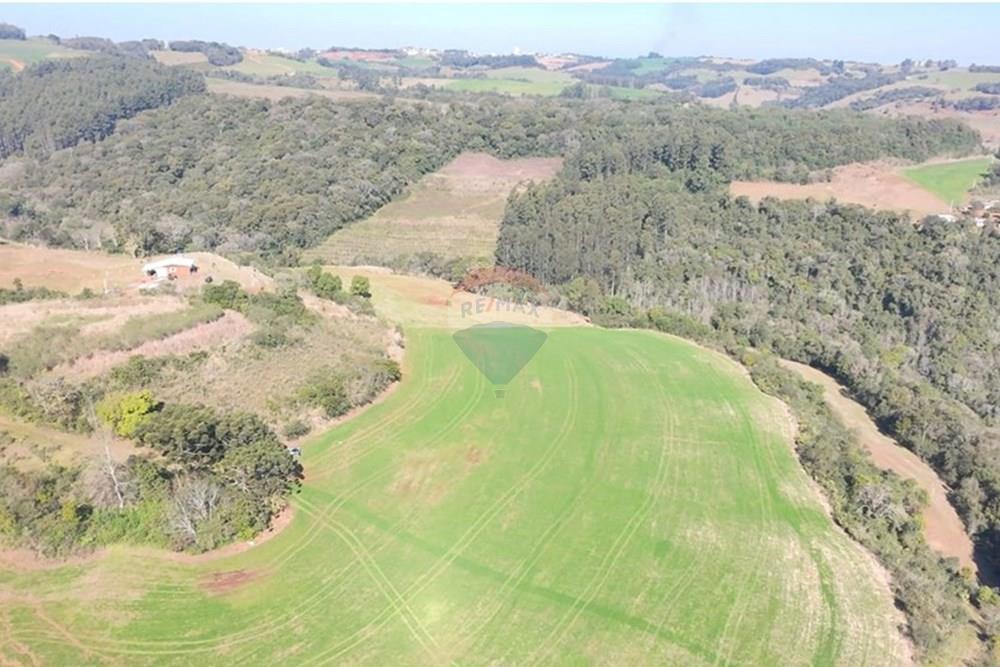 Chácara / Sítio / Fazenda - Venda - Trindade do Sul , Rio Grande do Sul - IMG-20250814-WA0074.jpg - 610231004-94