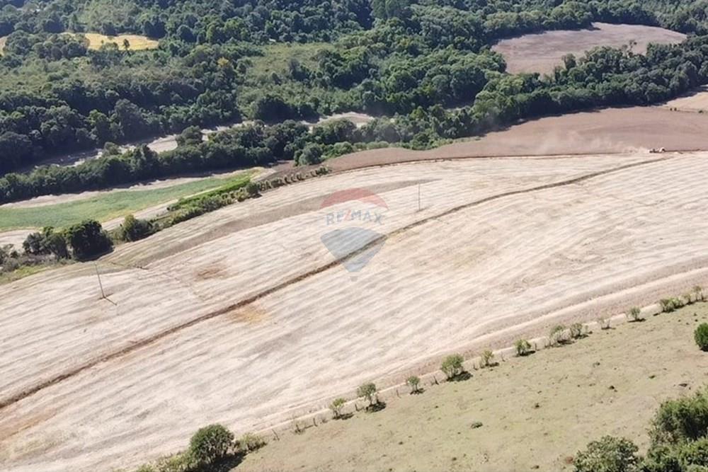 Chácara / Sítio / Fazenda - Venda - Trindade do Sul , Rio Grande do Sul - IMG-20250325-WA0068.jpg - 610231004-88