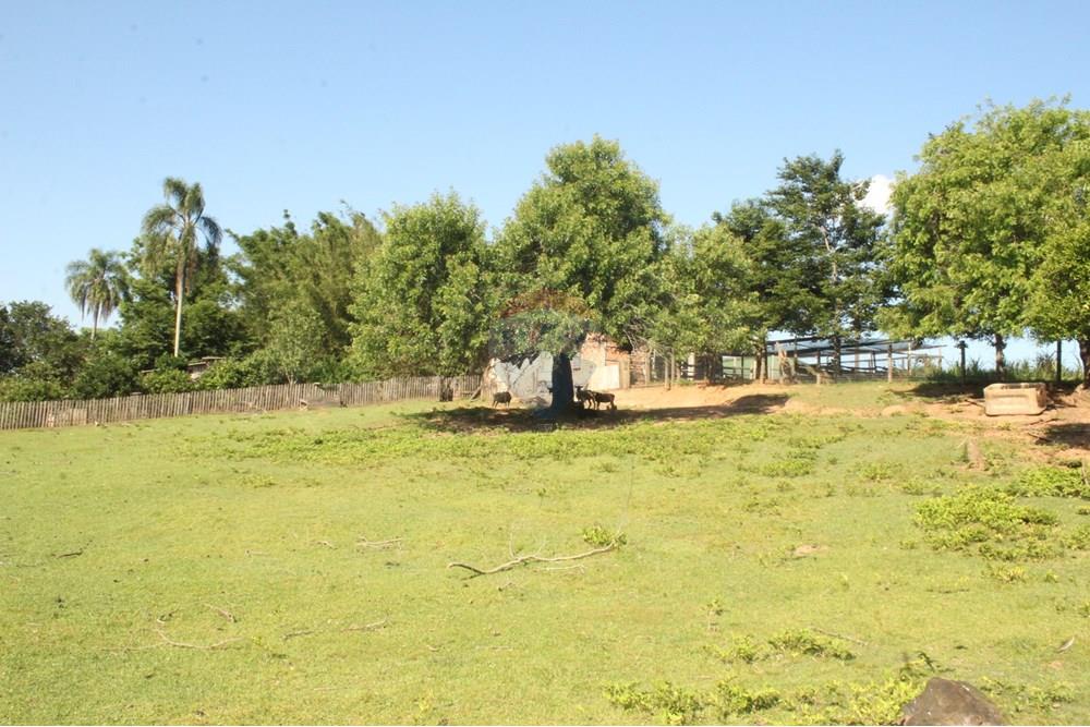 Industrial - Venda - Gravataí , Rio Grande do Sul - IMG_2238.JPG - 610161057-45