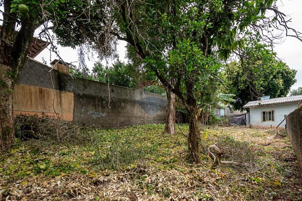 Terreno - Venda - Novo Hamburgo , Rio Grande do Sul - DSC_8181.jpg - 610261045-3