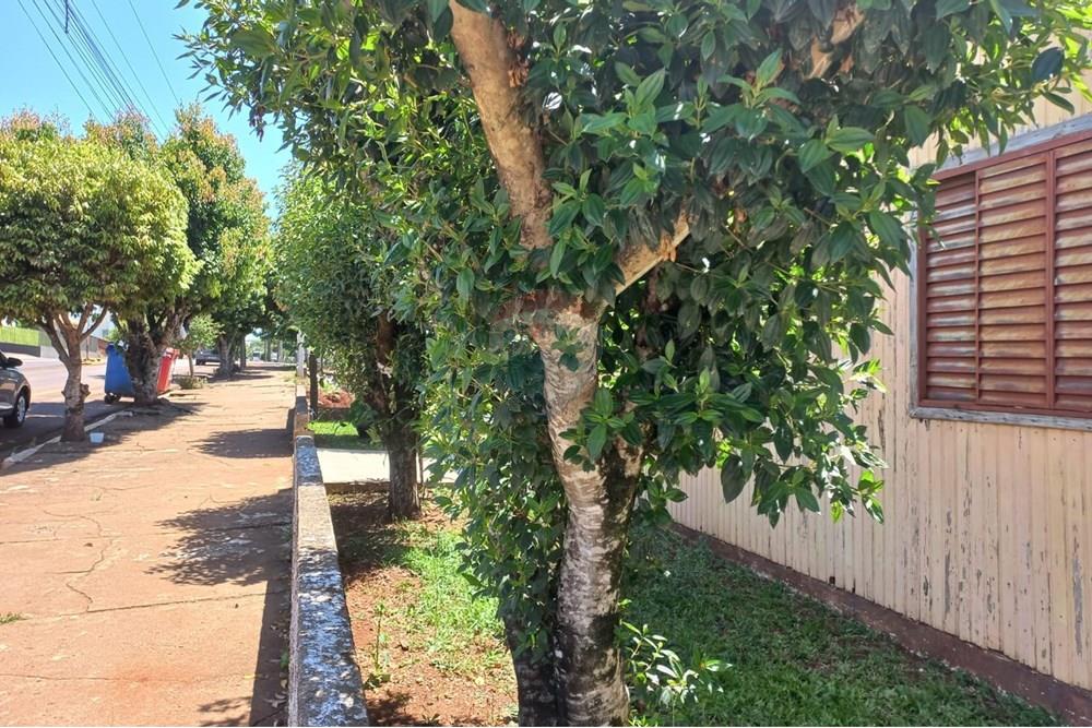 Terreno - Venda - Nonoai , Rio Grande do Sul - Casa Dona Ivete 1.jpg - 610231002-32