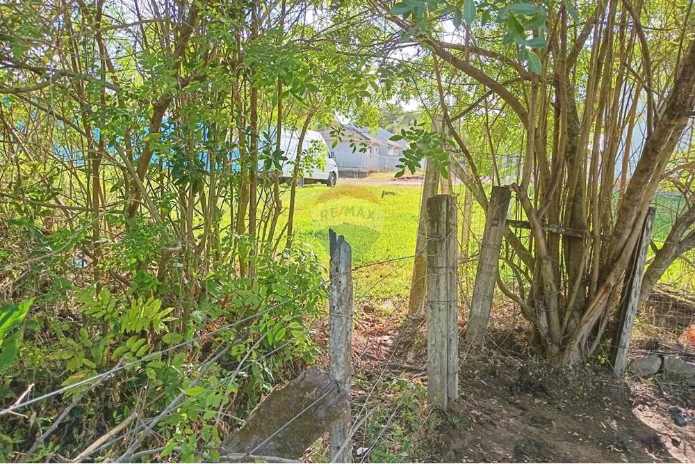 Terreno - Venda - Santa Cruz do Sul , Rio Grande do Sul - terreno.jpeg - 612741037-3