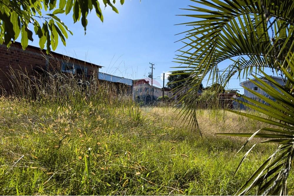 Terreno - Venda - Lagoa Vermelha , Rio Grande do Sul - WhatsApp Image 2025-05-20 at 09.47.02.jpeg - 610111005-240