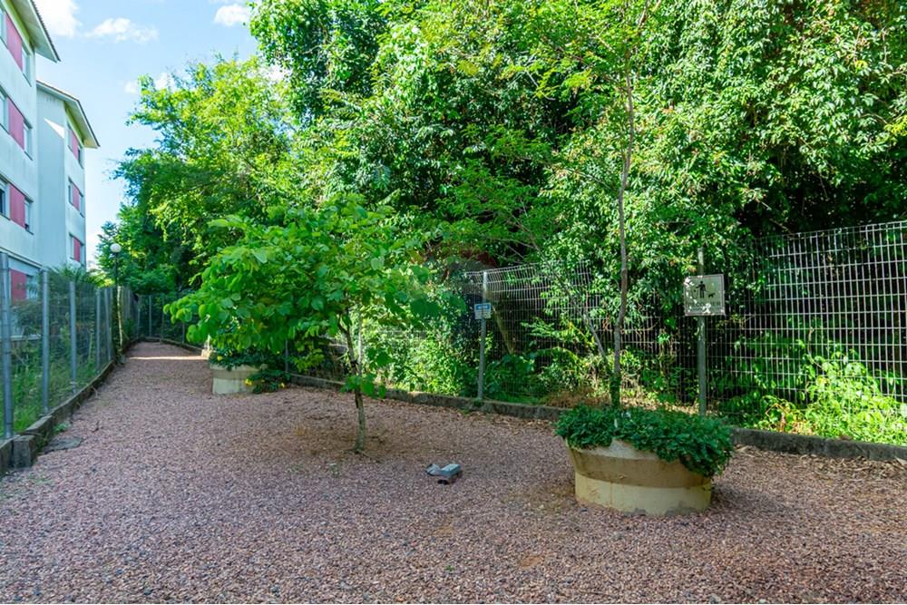 Apartamento - Venda - Gravataí , Rio Grande do Sul - _DSC4991.jpg - 610161080-58