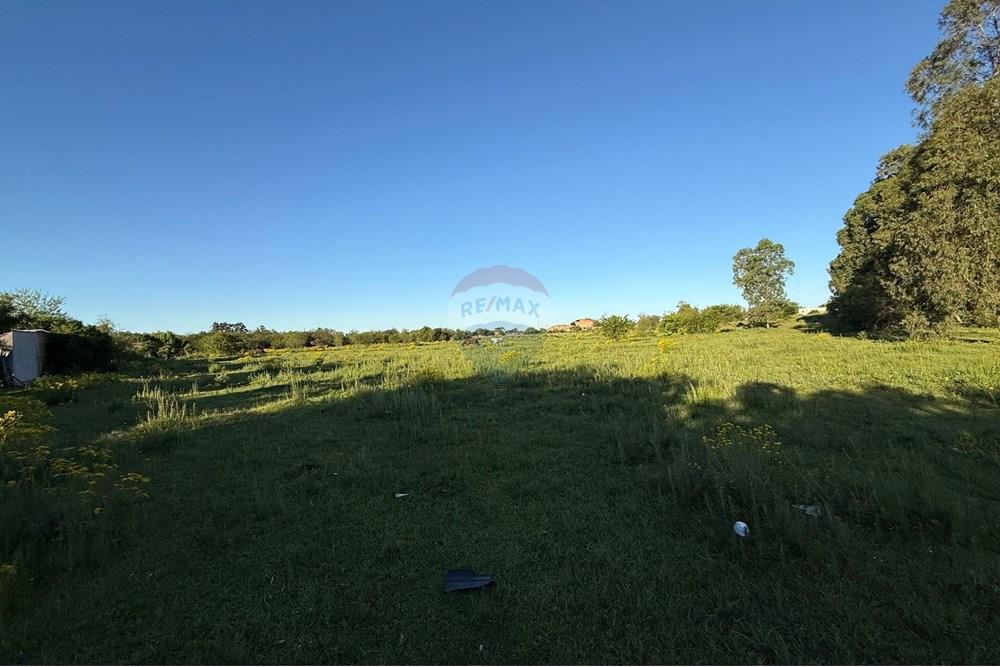 Terreno - Venda - São Gabriel , Rio Grande do Sul - Imagem do WhatsApp de 2025-10-16 à(s) 14.42.39_2a8ad5e4.jpg - 612631024-78