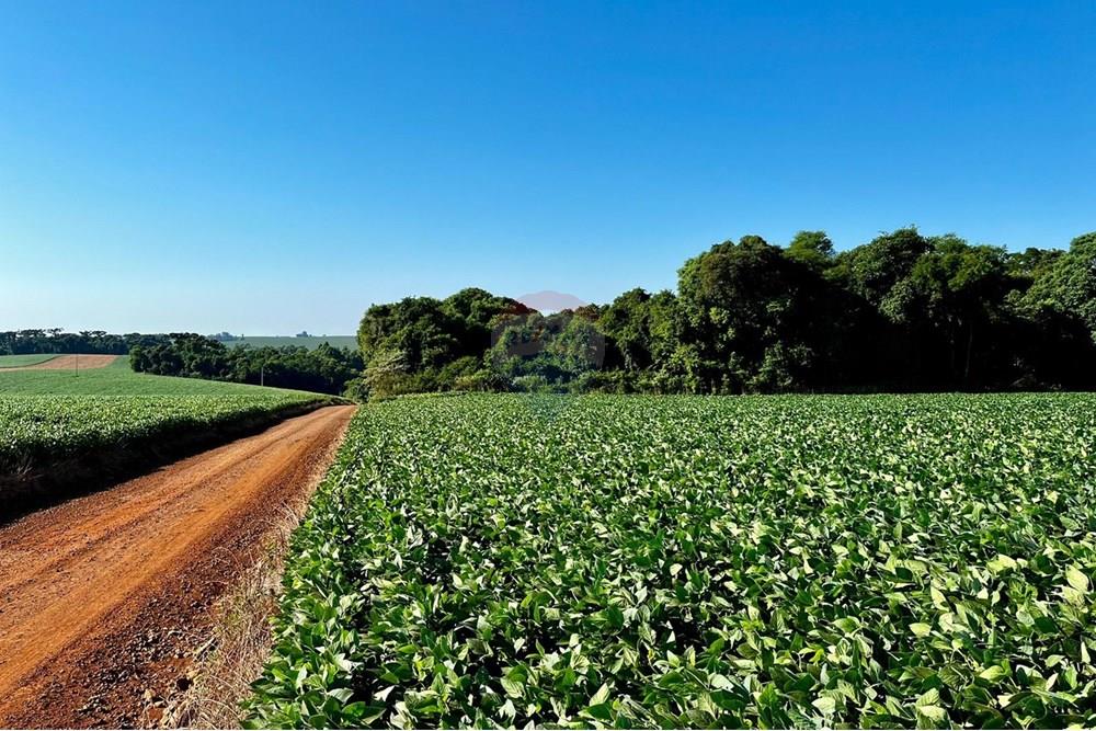 Chácara / Sítio / Fazenda - Venda - Não-Me-Toque , Rio Grande do Sul - WhatsApp Image 2025-01-20 at 20.17.55.jpeg - 610271058-70