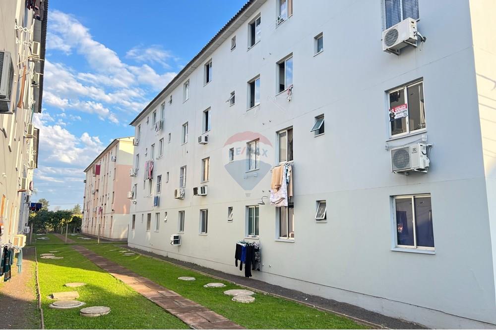 Apartamento - Venda - São Leopoldo , Rio Grande do Sul - WhatsApp Image 2025-07-29 at 11.07.08.jpeg - 612561046-6