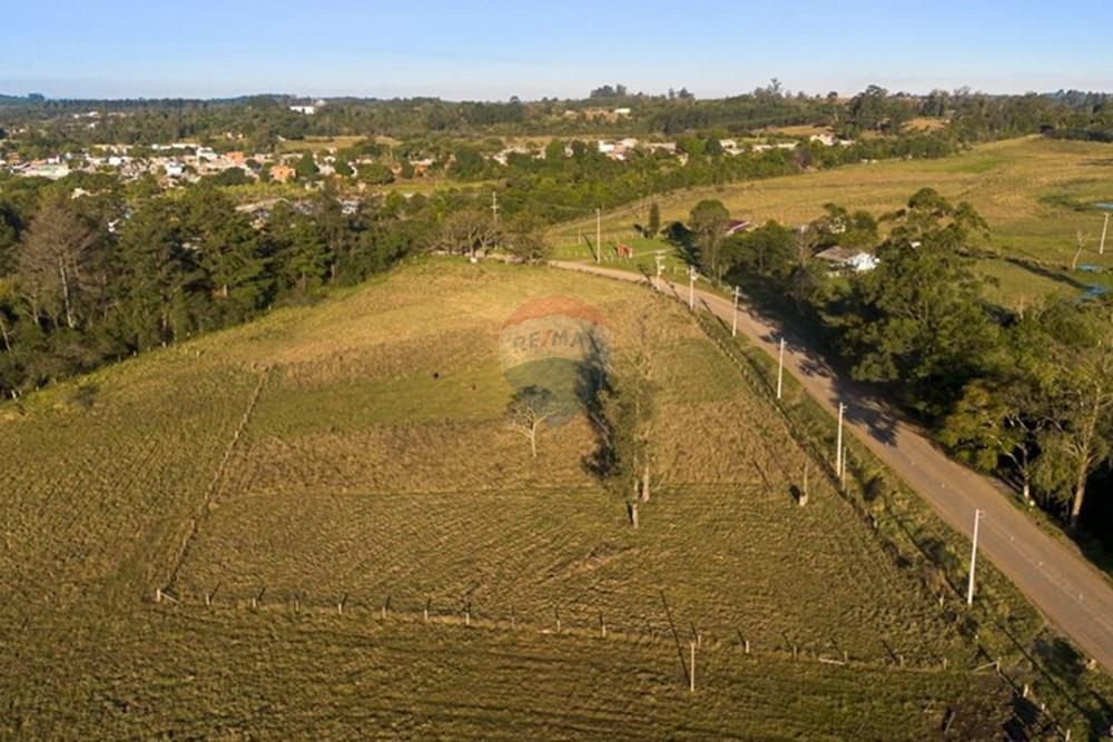 Terreno - Venda - Montenegro , Rio Grande do Sul - WhatsApp Image 2025-07-09 at 15.01.40.jpeg - 610091003-65