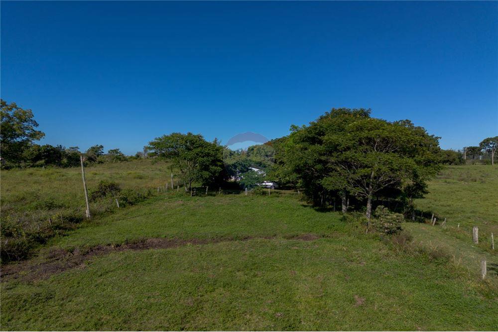 Chácara / Sítio / Fazenda - Venda - Santa Maria , Rio Grande do Sul - 15 - 610311056-76