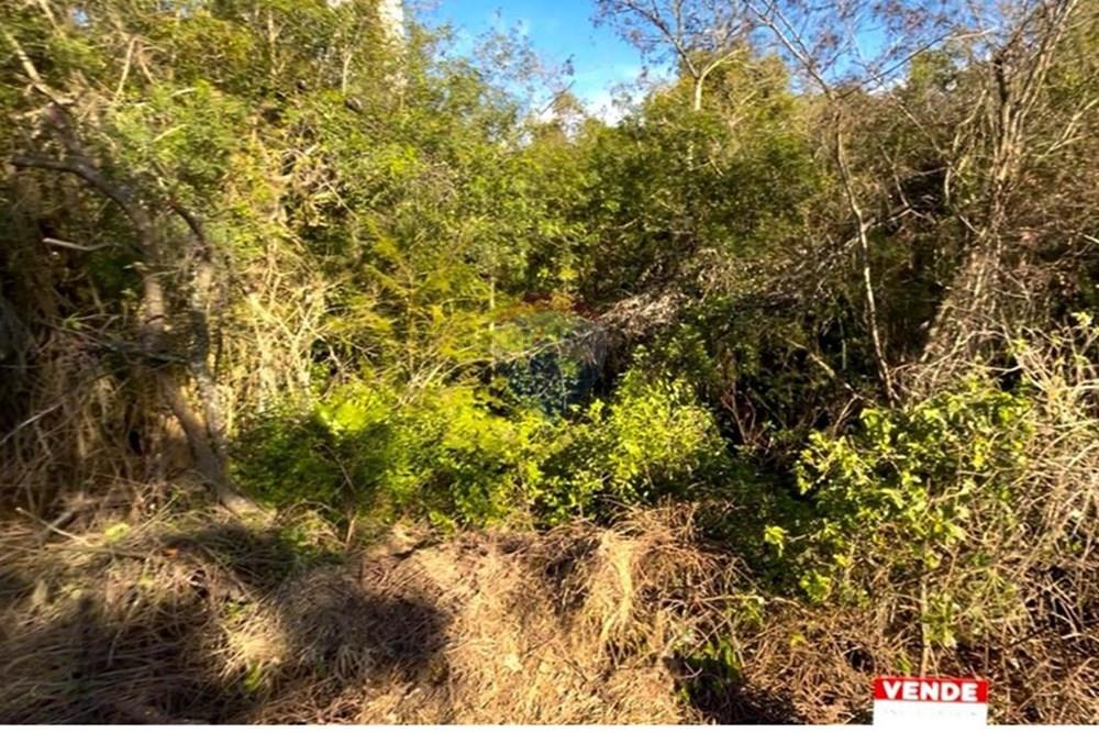 Terreno - Venda - Guaíba , Rio Grande do Sul - Imagem do WhatsApp de 2025-08-28 à(s) 16.10.24_d79a3ec1.jpg - 612781019-16