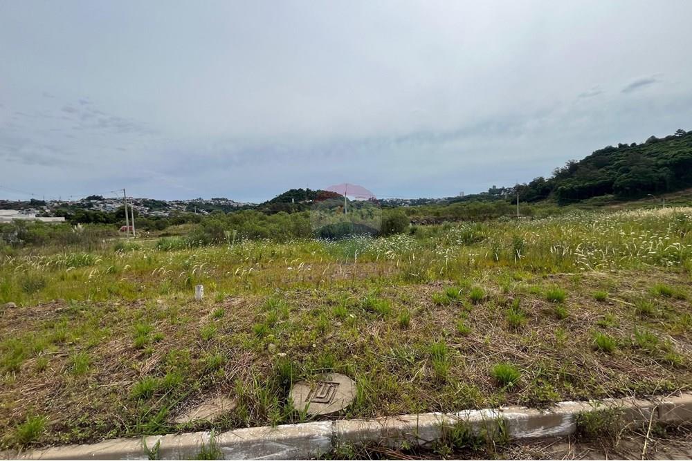 Terreno - Venda - Bento Gonçalves , Rio Grande do Sul - WhatsApp Image 2024-12-11 at 14.23.12.jpeg - 610331038-19