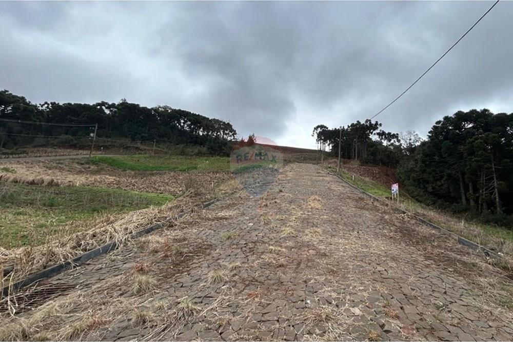 Terreno - Venda - Barão de Cotegipe , Rio Grande do Sul - WhatsApp Image 2025-08-09 at 14.36.36 (3).jpeg - Fachada - 612761035-7