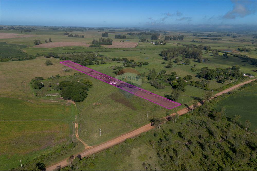 Chácara / Sítio / Fazenda - Venda - Santa Maria , Rio Grande do Sul - 3 - 610311056-76