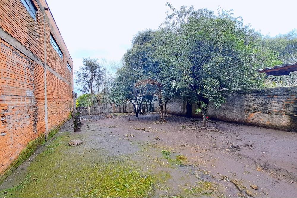 Casa - Venda - Passo Fundo , Rio Grande do Sul - WhatsApp Image 2025-08-08 at 10.01.37.jpeg - 610351076-7