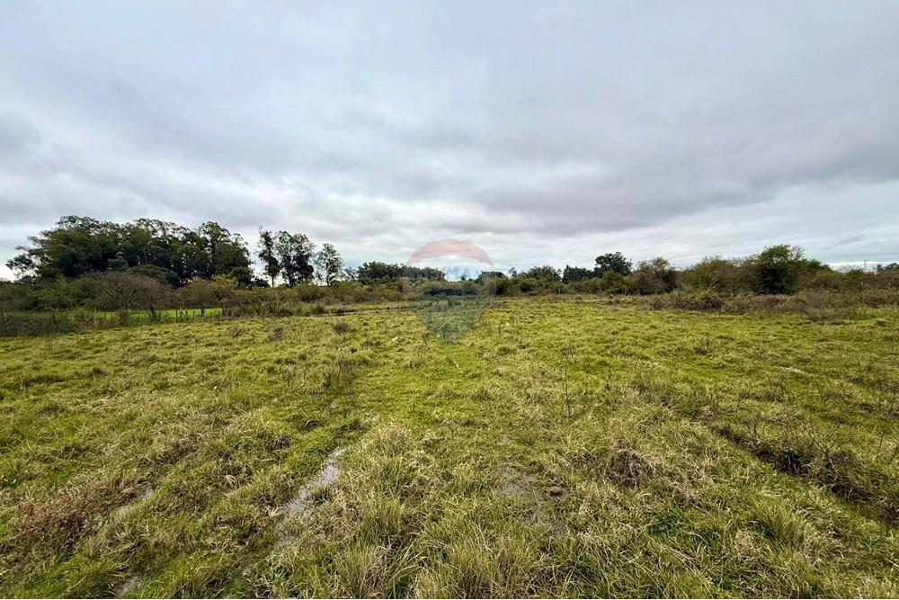 Chácara / Sítio / Fazenda - Venda - São Gabriel , Rio Grande do Sul - WhatsApp Image 2025-07-08 at 09.39.04 (2).jpeg - 612631045-18