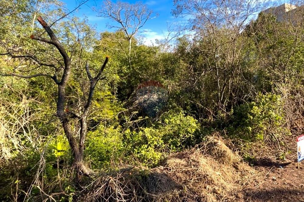 Terreno - Venda - Guaíba , Rio Grande do Sul - Imagem do WhatsApp de 2025-07-25 à(s) 20.00.00_6d7ddd9f.jpg - 612781019-5