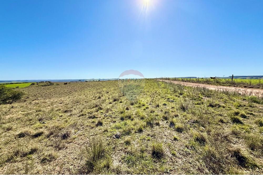 Chácara / Sítio / Fazenda - Venda - Santa Margarida do Sul , Rio Grande do Sul - WhatsApp Image 2025-06-25 at 09.09.56 (3).jpeg - 612631001-60