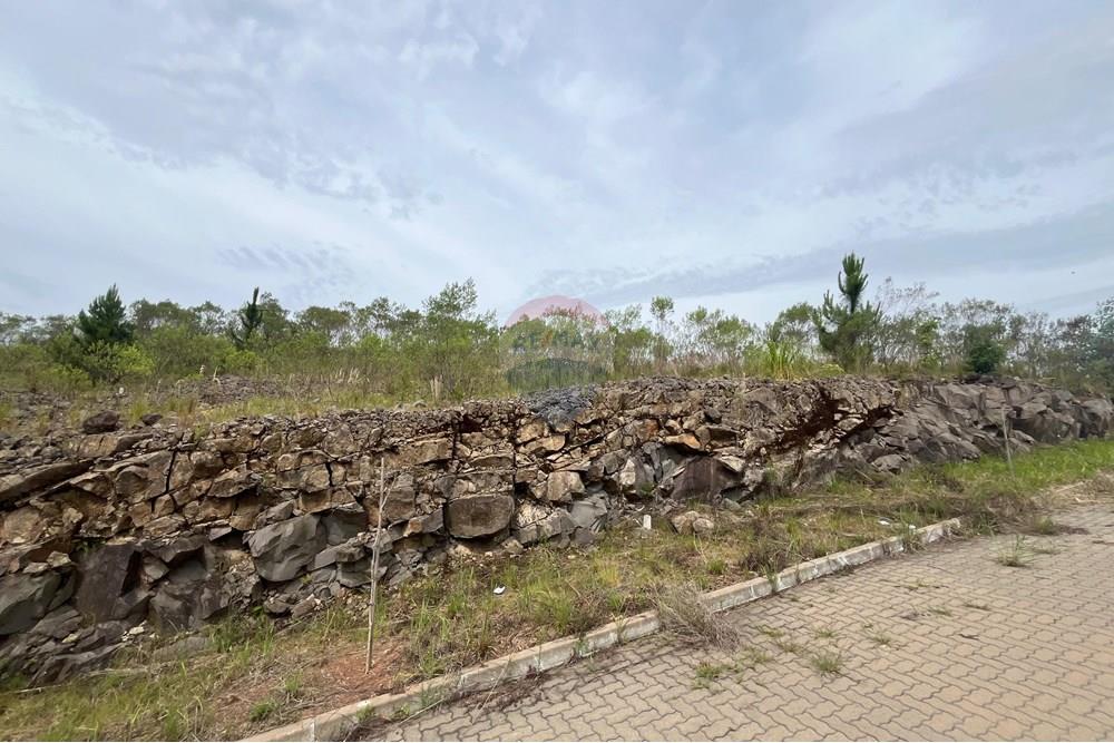 Terreno - Venda - Bento Gonçalves , Rio Grande do Sul - WhatsApp Image 2024-12-11 at 14.23.13.jpeg - 610331038-19