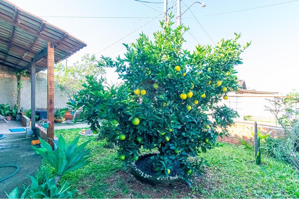 Casa - Venda - Gravataí , Rio Grande do Sul - _DSC4131.jpg - 610051078-2