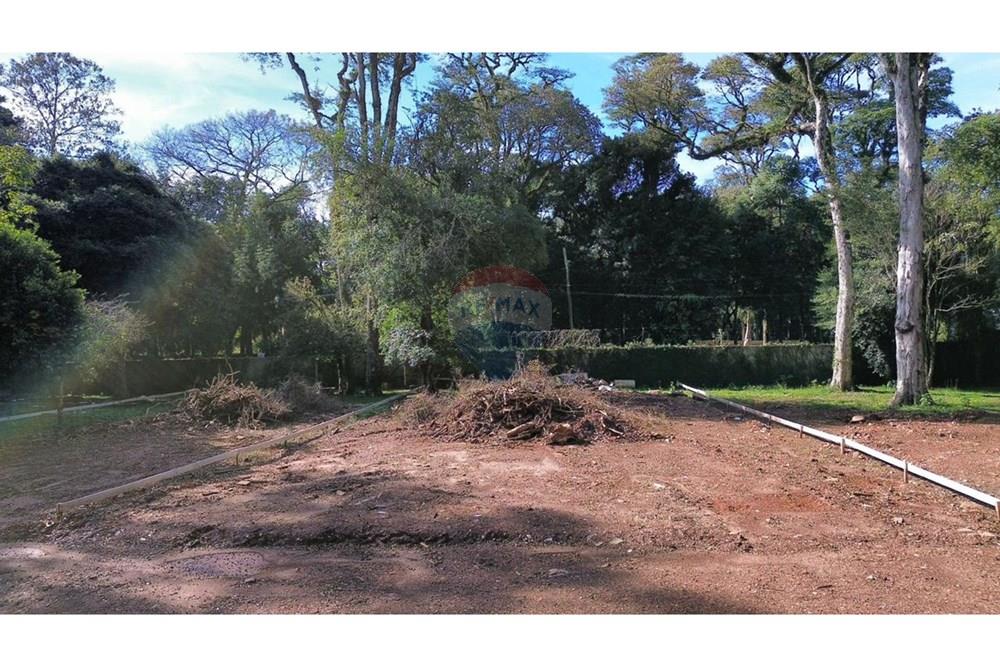 Terreno - Venda - Passo Fundo , Rio Grande do Sul - WhatsApp Image 2025-07-16 at 09.27.03.jpeg - 610271093-26