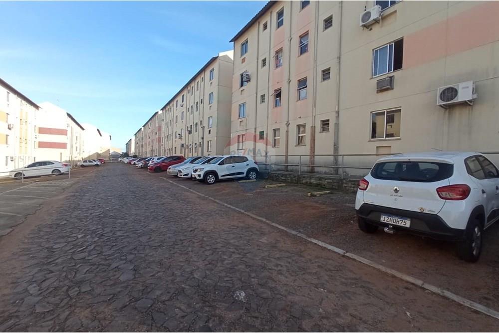 Apartamento - Venda - Gravataí , Rio Grande do Sul - IMG-20250523-WA0050.jpg - 610161100-12