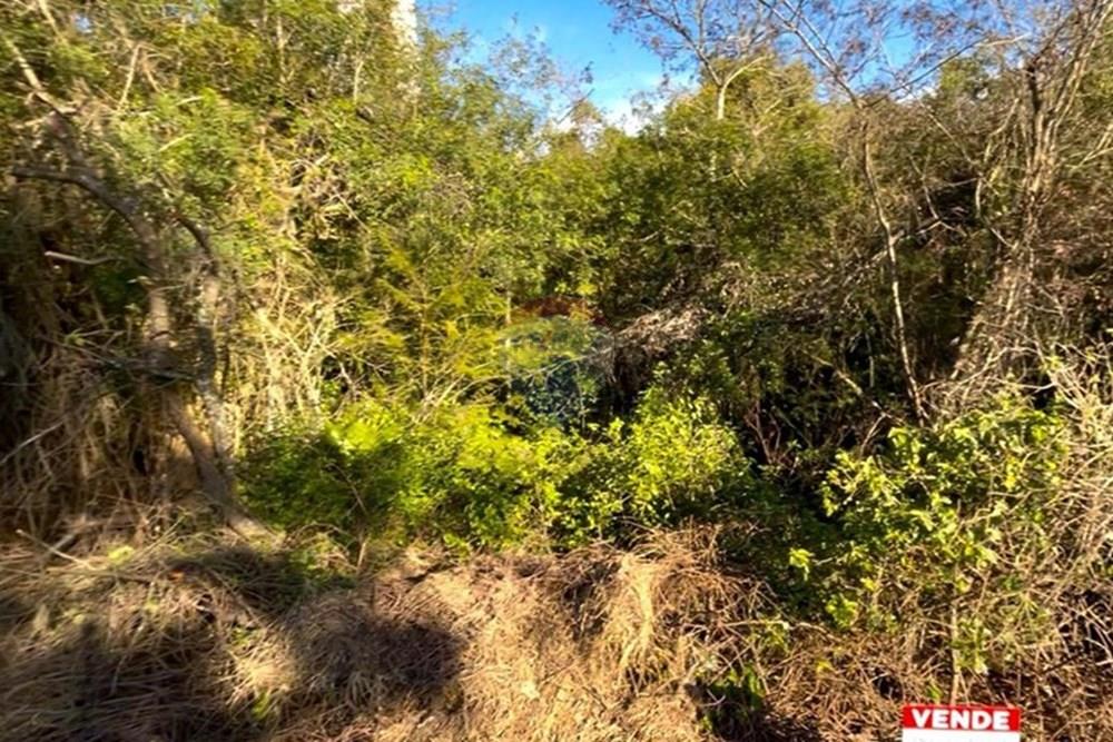 Terreno - Venda - Guaíba , Rio Grande do Sul - Imagem do WhatsApp de 2025-08-28 à(s) 16.10.24_d79a3ec1.jpg - 612781019-11