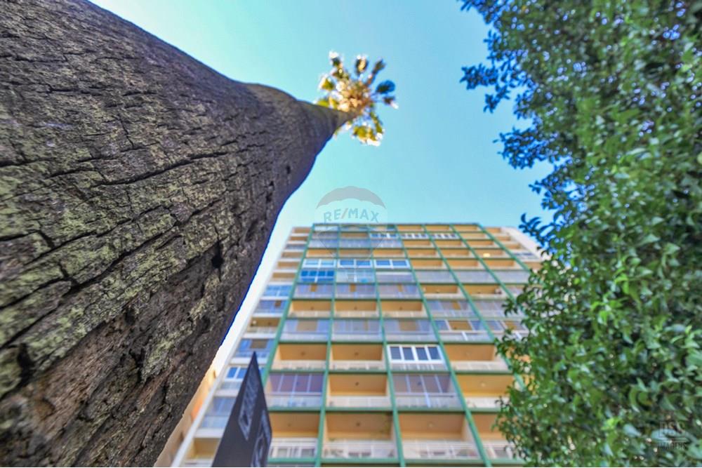 Apartamento - Venda - Porto Alegre , Rio Grande do Sul - IMG_4332.jpg - 610371018-11